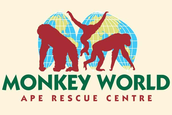 monkey world